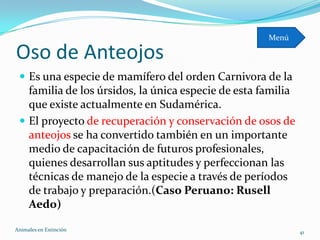 Menú

Oso de Anteojos
  Es una especie de mamífero del orden Carnivora de la
   familia de los úrsidos, la única especie de esta familia
   que existe actualmente en Sudamérica.
  El proyecto de recuperación y conservación de osos de
   anteojos se ha convertido también en un importante
   medio de capacitación de futuros profesionales,
   quienes desarrollan sus aptitudes y perfeccionan las
   técnicas de manejo de la especie a través de períodos
   de trabajo y preparación.(Caso Peruano: Rusell
   Aedo)

Animales en Extinciòn                                         41
 