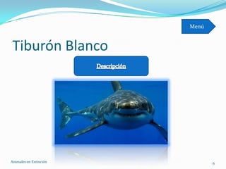 Menú


 Tiburón Blanco




Animales en Extinciòn          6
 
