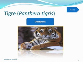 Menú

Tigre (Panthera tigris)




Animales en Extinciòn            7
 