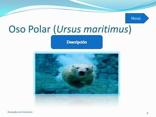 Menú


 Oso Polar (Ursus maritimus)




Animales en Extinciòn             8
 