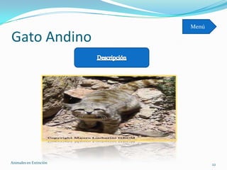 Menú

Gato Andino




Animales en Extinciòn          22
 