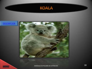 DESCRIPCION




              ANIMALES EN PELIGRO DE EXTINCION   18
 
