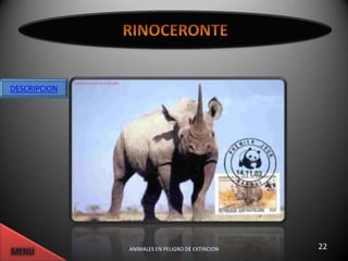 DESCRIPCION




              ANIMALES EN PELIGRO DE EXTINCION   22
 