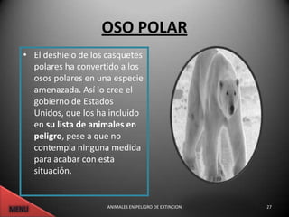 OSO POLAR
• El deshielo de los casquetes
  polares ha convertido a los
  osos polares en una especie
  amenazada. Así lo cree el
  gobierno de Estados
  Unidos, que los ha incluido
  en su lista de animales en
  peligro, pese a que no
  contempla ninguna medida
  para acabar con esta
  situación.


                     ANIMALES EN PELIGRO DE EXTINCION   27
 
