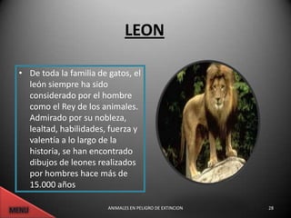 LEON

• De toda la familia de gatos, el
  león siempre ha sido
  considerado por el hombre
  como el Rey de los animales.
  Admirado por su nobleza,
  lealtad, habilidades, fuerza y
  valentía a lo largo de la
  historia, se han encontrado
  dibujos de leones realizados
  por hombres hace más de
  15.000 años

                        ANIMALES EN PELIGRO DE EXTINCION   28
 
