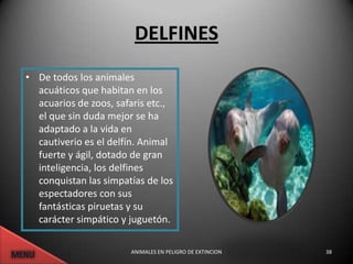 DELFINES
• De todos los animales
  acuáticos que habitan en los
  acuarios de zoos, safaris etc.,
  el que sin duda mejor se ha
  adaptado a la vida en
  cautiverio es el delfín. Animal
  fuerte y ágil, dotado de gran
  inteligencia, los delfines
  conquistan las simpatías de los
  espectadores con sus
  fantásticas piruetas y su
  carácter simpático y juguetón.

                       ANIMALES EN PELIGRO DE EXTINCION   38
 