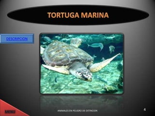 DESCRIPCION




              ANIMALES EN PELIGRO DE EXTINCION   4
 