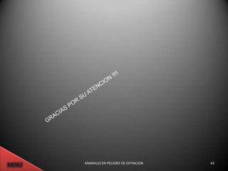 ANIMALES EN PELIGRO DE EXTINCION   43
 