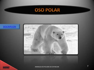 DESCRIPCION




              ANIMALES EN PELIGRO DE EXTINCION   7
 