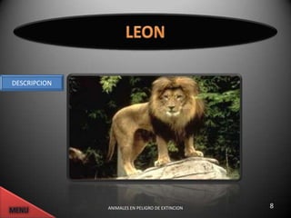 DESCRIPCION




              ANIMALES EN PELIGRO DE EXTINCION   8
 