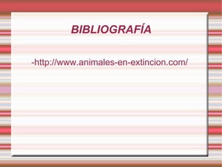 BIBLIOGRAFÍA

-http://www.animales-en-extincion.com/
 