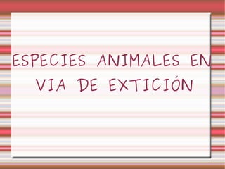 ESPECIES ANIMALES EN
  VIA DE EXTICIÓN
 