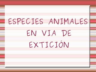 ESPECIES ANIMALES
   EN VIA DE
    EXTICIÓN
 