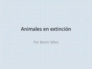 Animales en extinción

     Por Kevin Vélez
 