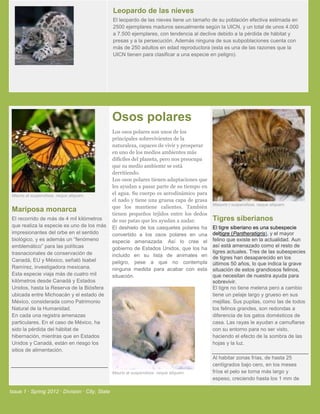 Leopardo de las nieves
                                                 El leopardo de las nieves tiene un tamaño de su población efectiva estimada en
                                                 2500 ejemplares maduros sexualmente según la UICN, y un total de unos 4.000
                                                 a 7.500 ejemplares, con tendencia al declive debido a la pérdida de hábitat y
                                                 presas y a la persecución. Además ninguna de sus subpoblaciones cuenta con
                                                 más de 250 adultos en edad reproductora (esta es una de las razones que la
                                                 UICN tienen para clasificar a una especie en peligro).




                                                 Osos polares
                                                 Los osos polares son unos de los
                                                 principales sobrevivientes de la
                                                 naturaleza, capaces de vivir y prosperar
                                                 en uno de los medios ambientes más
                                                 difíciles del planeta, pero nos preocupa
                                                 que su medio ambiente se està
                                                 derritiendo.
                                                 Los osos polares tienen adaptaciones que
                                                 les ayudan a pasar parte de su tiempo en
 Mauris at suspendisse, neque aliquam.           el agua. Su cuerpo es aerodinámico para
                                                 el nado y tiene una gruesa capa de grasa
                                                                                            Maauris t suspendisse, neque aliquam.
                                                 que los mantiene calientes. También
 Mariposa monarca
                                                 tienen pequeños tejidos entre los dedos
 El recorrido de más de 4 mil kilómetros         de sus patas que les ayudan a nadar.       Tigres siberianos
 que realiza la especie es uno de los más        El deshielo de los casquetes polares ha    El tigre siberiano es una subespecie
 impresionantes del orbe en el sentido           convertido a los osos polares en una       deltigre (Pantheratigris), y el mayor
 biológico, y es además un “fenómeno             especie amenazada. Así lo cree el          felino que existe en la actualidad. Aun
 emblemático” para las políticas                 gobierno de Estados Unidos, que los ha
                                                                                            así está amenazado como el resto de
 trasnacionales de conservación de                                                          tigres actuales. Tres de las subespecies
                                                 incluido en su lista de animales en        de tigres han desaparecido en los
 Canadá, EU y México, señaló Isabel              peligro, pese a que no contempla           últimos 50 años, lo que indica la grave
 Ramírez, investigadora mexicana.                ninguna medida para acabar con esta        situación de estos grandiosos felinos,
 Esta especie viaja más de cuatro mil            situación.                                 que necesitan de nuestra ayuda para
 kilómetros desde Canadá y Estados                                                          sobrevivir.
 Unidos, hasta la Reserva de la Biósfera                                                    El tigre no tiene melena pero a cambio
 ubicada entre Michoacán y el estado de                                                     tiene un pelaje largo y grueso en sus
 México, considerada como Patrimonio                                                        mejillas. Sus pupilas, como las de todos
 Natural de la Humanidad.                                                                   los felinos grandes, son redondas a
 En cada una registra amenazas                                                              diferencia de los gatos domésticos de
 particulares. En el caso de México, ha                                                     casa. Las rayas le ayudan a camuflarse
 sido la pérdida del hábitat de                                                             con su entorno para no ser visto,
 hibernación, mientras que en Estados                                                       haciendo el efecto de la sombra de las
 Unidos y Canadá, están en riesgo los                                                       hojas y la luz.
 sitios de alimentación.
                                                                                            Al habitar zonas frías, de hasta 25
                                                                                            centígrados bajo cero, en los meses
                                                 Mauris at suspendisse, neque aliquam.      fríos el pelo se torna más largo y
                                                                                            espeso, creciendo hasta los 1 mm de

Issue 1 · Spring 2012 · Division · City, State
 