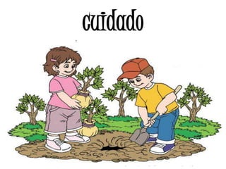 cuidado 
