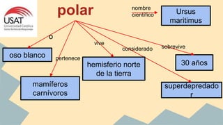 polar
oso blanco
mamíferos
carnívoros
superdepredado
r
30 añoshemisferio norte
de la tierra
o
pertenece
vive
considerado sobrevive
Ursus
maritimus
nombre
científico
 