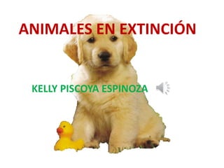 ANIMALES EN EXTINCIÓN
KELLY PISCOYA ESPINOZA
 