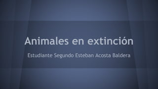 Animales en extinción
Estudiante Segundo Esteban Acosta Baldera
 