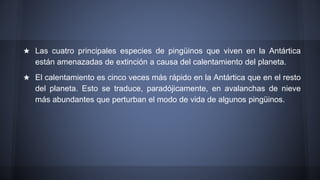★ Las cuatro principales especies de pingüinos que viven en la Antártica
están amenazadas de extinción a causa del calentamiento del planeta.
★ El calentamiento es cinco veces más rápido en la Antártica que en el resto
del planeta. Esto se traduce, paradójicamente, en avalanchas de nieve
más abundantes que perturban el modo de vida de algunos pingüinos.
 