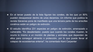 ★ En el tercer puesto de la lista figuran los corales, de los que un 80%
pueden desaparecer dentro de unos decenios. Un informe que publica la
revista Sáciense pone de manifiesto que una tercera parte de los arrecifes
coralinos están en peligro de extinción.
★ El estudio identifica 231 especies en peligro de extinción, amenazado o
vulnerable. "Es desalentador, puesto que cuando los corales mueren, le
ocurre lo mismo a un montón de plantas y animales que dependen de
ellos para conseguir alimento o protección, por lo que puede llevar al
colapso de ecosistemas enteros", ha comentado Kent Carpenter
 