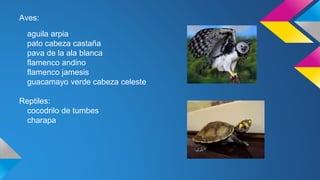 Aves:
aguila arpia
pato cabeza castaña
pava de la ala blanca
flamenco andino
flamenco jamesis
guacamayo verde cabeza celeste
Reptiles:
cocodrilo de tumbes
charapa
 