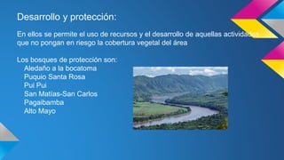 Desarrollo y protección:
En ellos se permite el uso de recursos y el desarrollo de aquellas actividades
que no pongan en riesgo la cobertura vegetal del área
Los bosques de protección son:
Aledaño a la bocatoma
Puquio Santa Rosa
Pui Pui
San Matías-San Carlos
Pagaibamba
Alto Mayo
 