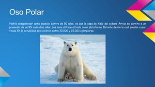 Oso Polar
Podría desaparecer como especie dentro de 50 años, ya que la capa de hielo del océano Ártico se derrite a un
promedio de un 9% cada diez años. Los osos utilizan el hielo como plataforma flotante desde la cual pueden cazar
focas. En la actualidad solo existen entre 20.000 y 25.000 ejemplares.
 