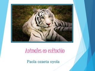 Animales en extinción
Paola ozaeta oyola
 