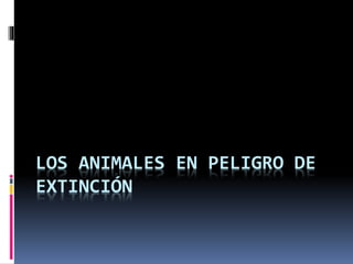 LOS ANIMALES EN PELIGRO DE
EXTINCIÓN
 