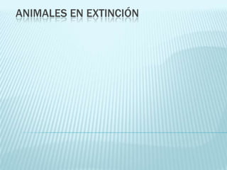 ANIMALES EN EXTINCIÓN
 
