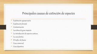 Principales causas de extinción de especies
• Explotación agropecuaria
• Explotación forestal
• Contaminación
• Las obras de gran impacto
• La introducción de especies exóticas
• La caza furtiva
• El trafico de fauna
• Caza comercial
• Caza deportiva
 