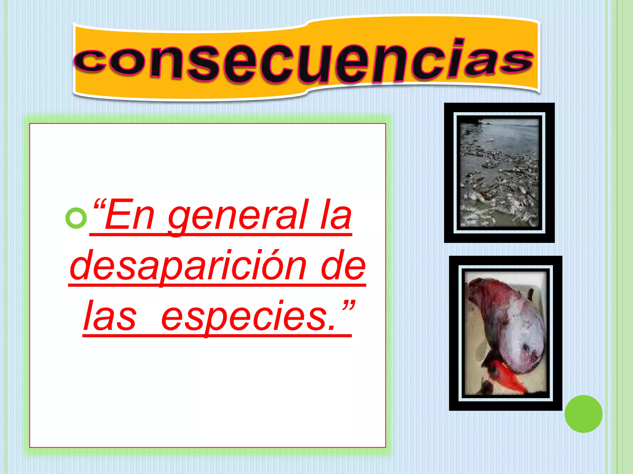 “En general la
desaparición de
las especies.”
 