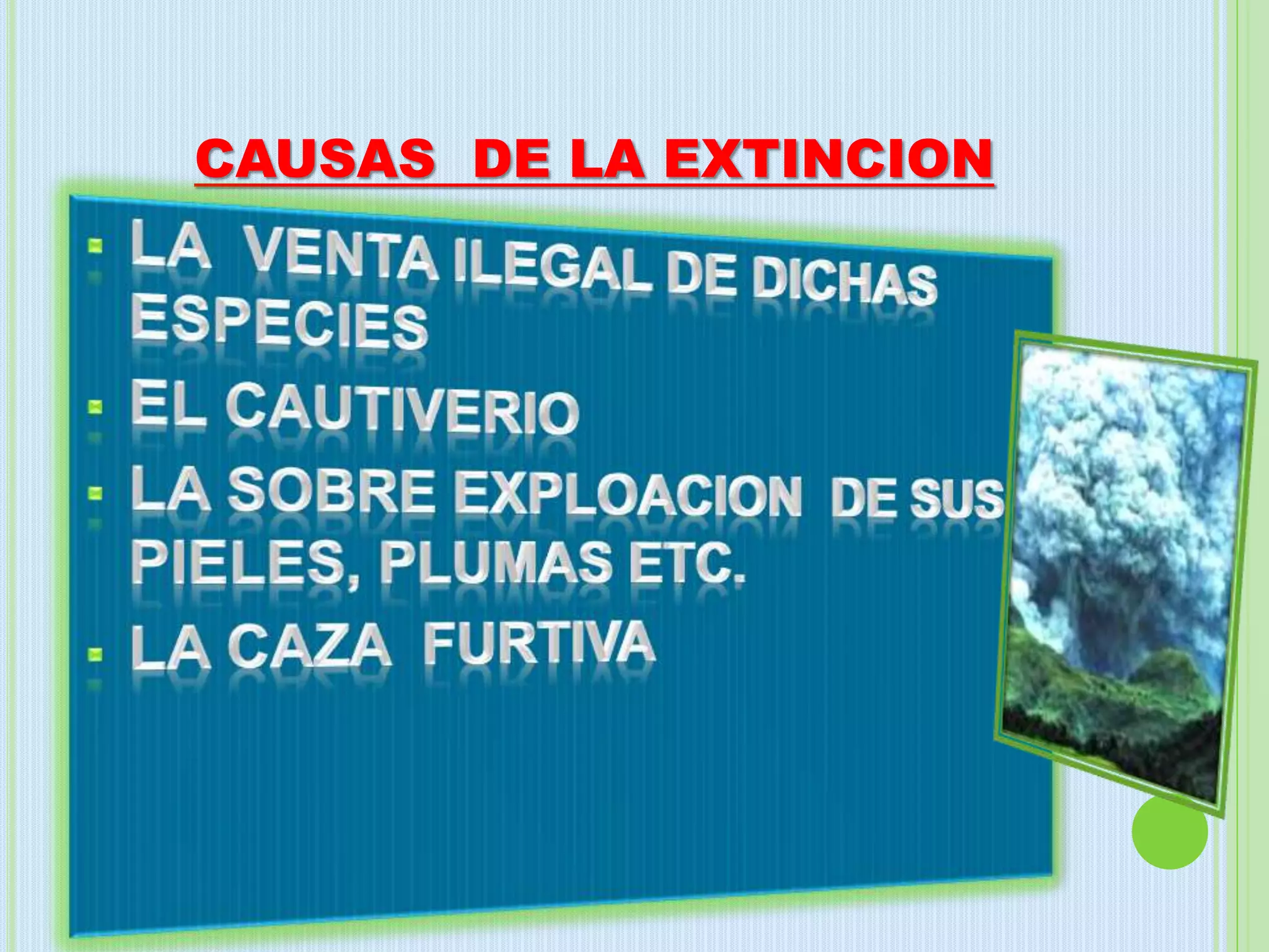 CAUSAS DE LA EXTINCION
 