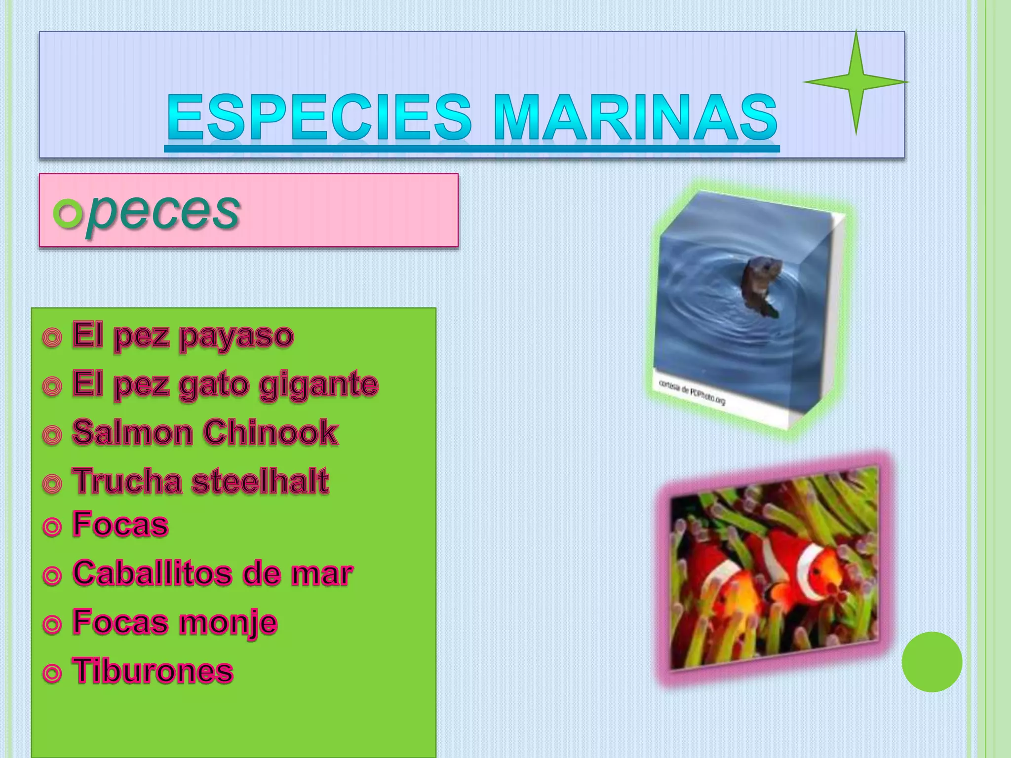 peces
 