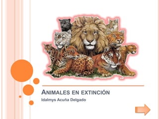 ANIMALES EN EXTINCIÓN
Idalmys Acuña Delgado
 