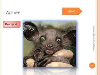 Idalmys del Rocío Acuña Delgado
                                                           15
MENÚ
 AYE AYE

           Descripción
 