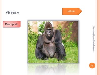 Idalmys del Rocío Acuña Delgado
                                                          17
MENÚ
 GORILA

          Descripción
 