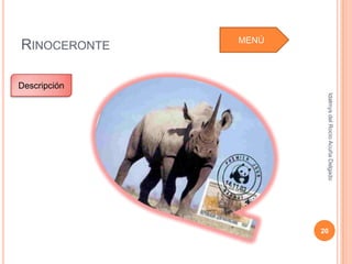 Idalmys del Rocío Acuña Delgado
                                                               20
MENÚ
 RINOCERONTE

               Descripción
 