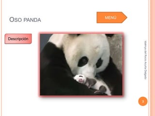 Idalmys del Rocío Acuña Delgado
                                                         3
MENÚ
 OSO PANDA

             Descripción
 