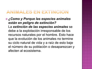  ¿Como   y Porque las especies animales
 están en peligro de extinción?
 La extinción de las especies animales se
 debe a la explotación irresponsable de los
 recursos naturales por el hombre. Esto hace
 que la evolución de los animales no termine
 su ciclo natural de vida y a raíz de esto baje
 el número de su población o desaparezcan y
 afecten al ecosistema.
 