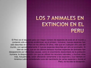 El Perú es el segundo país con mayor número de especies de aves en el mundo y
    contando sólo especies endémicas, es el primero. Inclusive, nuevas especies han
  sido descritas en el Perú en los últimos 30 años, más que en cualquier otro país del
 mundo, con aproximadamente 2 nuevas especies descritas por año en promedio. Si
         bien es cierto, que en los últimos tiempos muchas especies de animales han
desaparecido por diferentes causas, como el crecimiento desbordado de la población
 humana, la desproporción con que se utilizan los recursos naturales, y muchas otras
      más. Actualmente, están afectando seriamente a las especies y sus hábitats en
      América Latina, considerada cuna del nacimiento de varias especies y donde el
                                                       Perú, no ha sido la excepción.
 