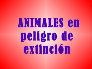 ANIMALES en
peligro de
 extinción
 