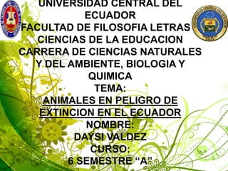 UNIVERSIDAD CENTRAL DEL
           ECUADOR
FACULTAD DE FILOSOFIA LETRAS Y
   CIENCIAS DE LA EDUCACION
CARRERA DE CIENCIAS NATURALES
  Y DEL AMBIENTE, BIOLOGIA Y
            QUIMICA
             TEMA:
    ANIMALES EN PELIGRO DE
   EXTINCION EN EL ECUADOR
           NOMBRE:
         DAYSI VALDEZ
            CURSO:
        6 SEMESTRE “A”
 