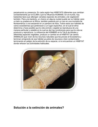perpetuando su presencia. En cada región hay HÁBITATS diferentes que cambian
constantemente por el CLIMA o por la influencia HUMANA. En el mundo, hay
bastantes tipos que albergan variadas especies de animales y de vegetación
también. Para una bacteria, un charco en alguna ciudad puede ser su hábitat, para
un león su pradera en el África, también pasando por un oso en una montaña de
Norteamérica o una serpiente en un pantano de Asia. Todos estos son hábitats de
varios ecosistemas que pertenecen a un lugar específico, en el cual el clima
determina y hace posible que la vida animal y vegetal se reproduzca de una
manera particular y estable en la cual se den las condiciones para que la vida se
produzca y reproduzca. La influencia del HOMBRE en la TALA de árboles y
diferentes especies vegetales, produce un cambio en el HÁBITAT de ciertos
ANIMALES que viven de los recursos naturales que les provee el Ecosistema y
terminan emigrando de ese hábitat ya pobre de recursos o bien contaminado,
terminando en peligro de la extinción de su especie, si no encuentran un HÁBITAT
donde rehacer sus actividades habituales.
Solución a la extinción de animales?
 
