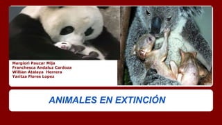 Margiori Paucar Mija
Franchesca Andaluz Cardoza
Willian Atalaya Herrera
Yaritza Flores Lopez
ANIMALES EN EXTINCIÓN
 