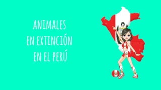 animales
enextinción
enelperú
 