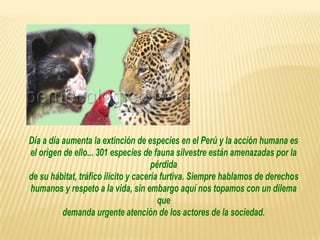 Día a día aumenta la extinción de especies en el Perú y la acción humana es
el origen de ello... 301 especies de fauna silvestre están amenazadas por la
                                      pérdida
de su hábitat, tráfico ilícito y cacería furtiva. Siempre hablamos de derechos
humanos y respeto a la vida, sin embargo aquí nos topamos con un dilema
                                        que
          demanda urgente atención de los actores de la sociedad.
 