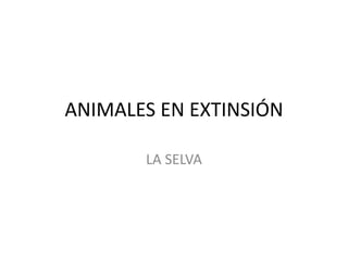 ANIMALES EN EXTINSIÓN 
LA SELVA 
 