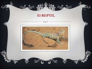 El REPTIL
 